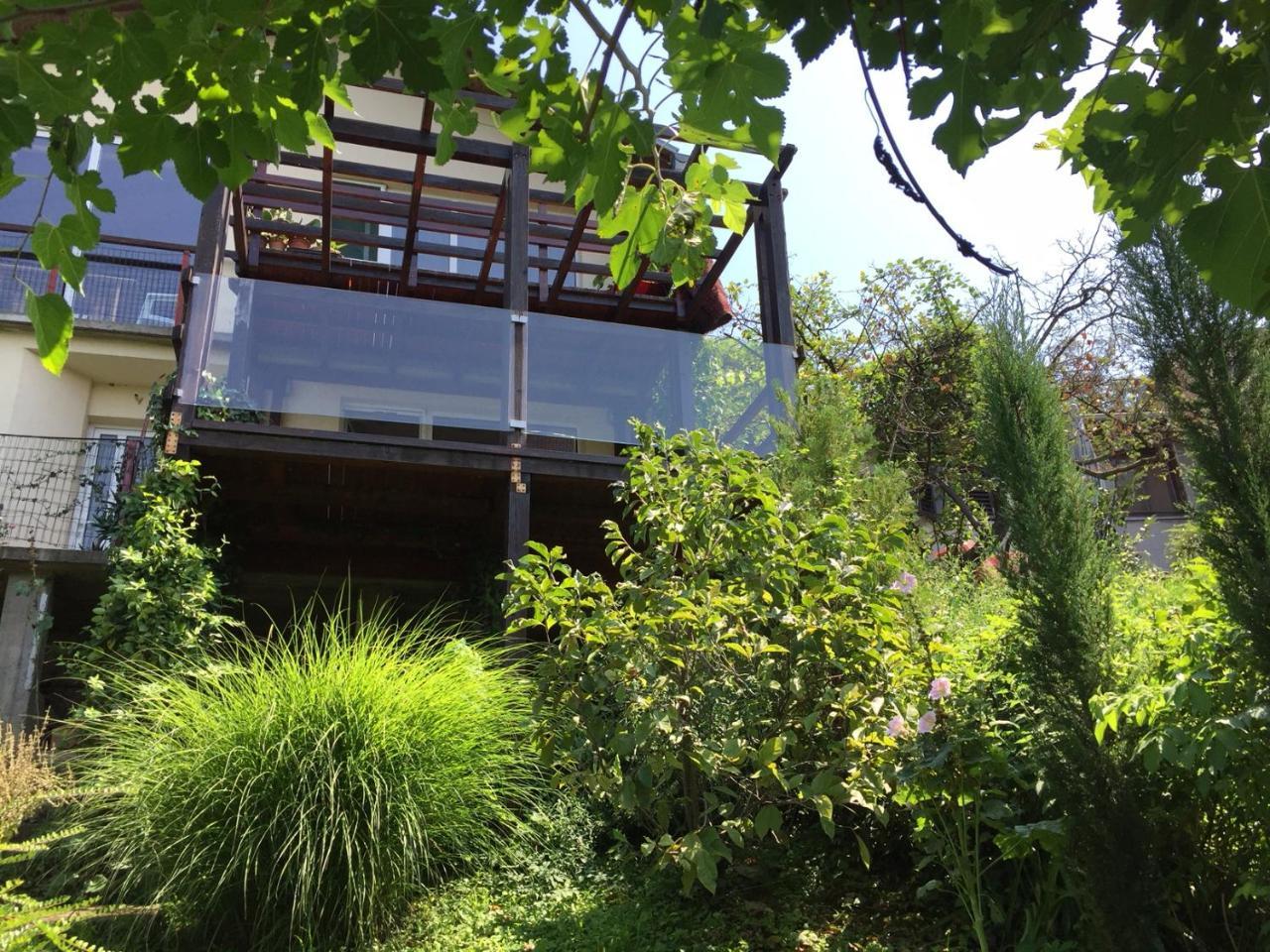 Pergola House In A Green Oasis With Fantastic View Lejlighed Petrovaradin Eksteriør billede